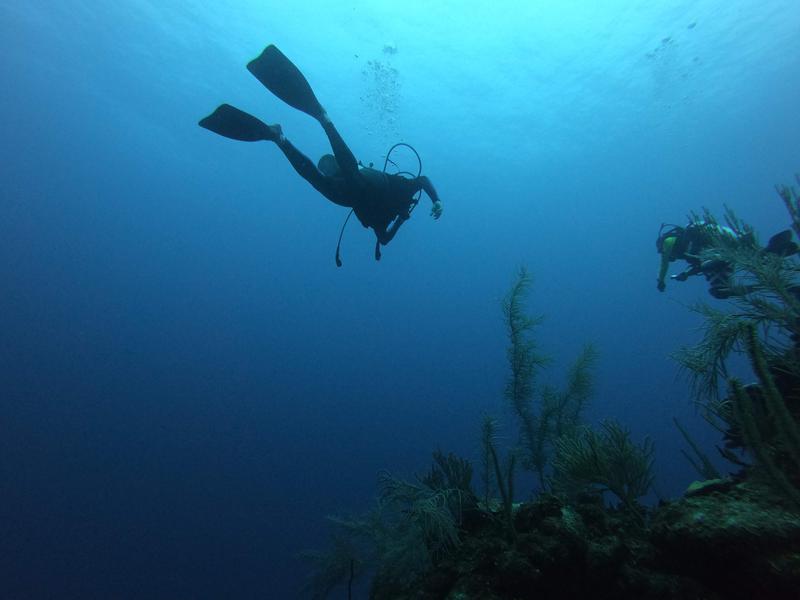Diver silhouette
